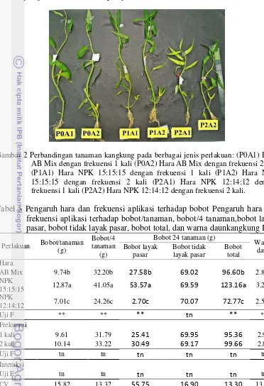 Gambar 2 Perbandingan tanaman kangkung pada berbagai jenis perlakuan: (P0A1) Hara 