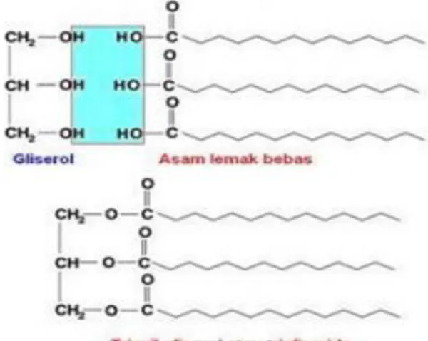 Gambar 4.  Rumus kimia trigliserida (Zulfikar, 2010) 