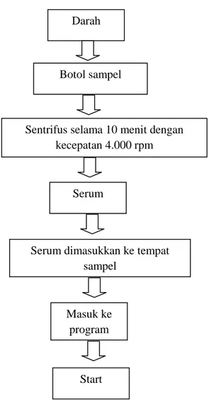 Gambar 6. Proses pemeriksaan trigliserida  Sumber : (Dewi, 2011) 