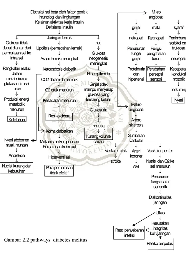 Gambar 2.2 pathways  diabetes melitus 