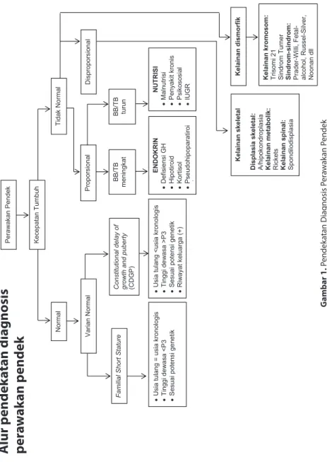 Gambar 1. Pendekatan Diagnosis Perawakan Pendek Sumber: Batubara JRL. Buku Ajar Endokrinologi Anak, 2010.