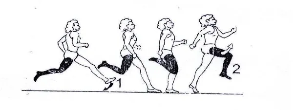 Gambar 2 : Teknik tolakan dalam lompat jauh                                                                                                     diadaptasi dari IAAF (2000) 