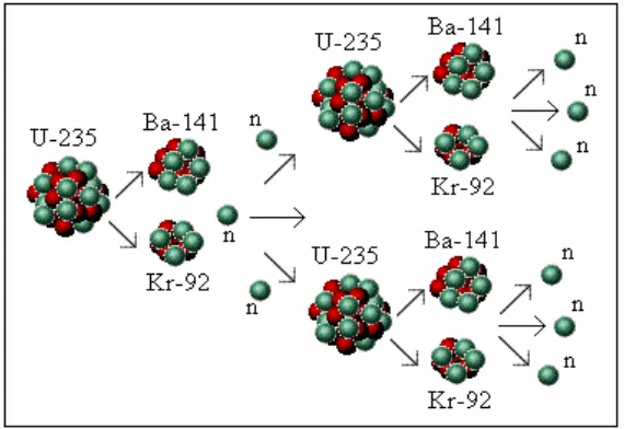 Gambar 3. Reaksi Fisi Berantai (Pramuditya dan Waris, 2005) 