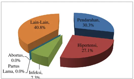 Gambar 1.1 Faktor Risiko Kematian Ibu                                                                    Sumber: Direktorat Kesehatan Ibu (2013) 