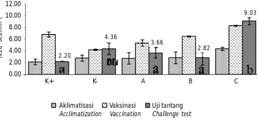 Figure 3. Test results of koi fish infected with KHV.