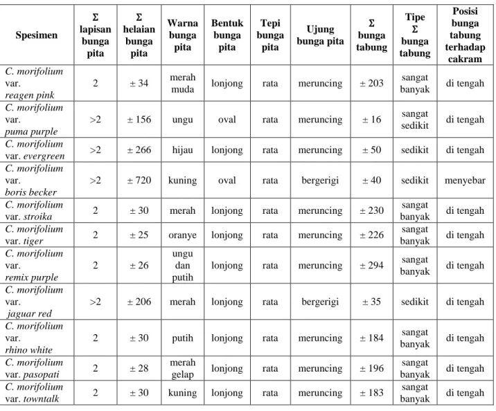 Tabel 1.a. Lanjutan data morfologi bunga Chrysanthemum morifolium 