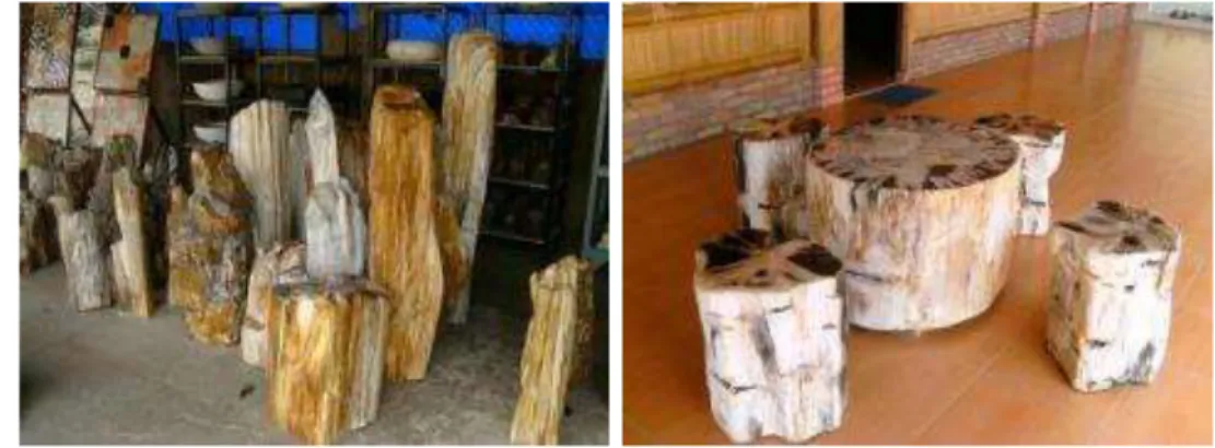 Gambar 1. Contoh fosil kayu yang diperjualbelikan (Foto: YI Mandang)  c. Peraturan Terkait Dengan Fosil Kayu 