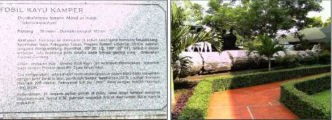 Gambar 2. Prasasti dan Fosil kayu Dryobalanoxylon lunaris di Manggala Wanabakti, Jakarta  (Foto: YI Mandang) 