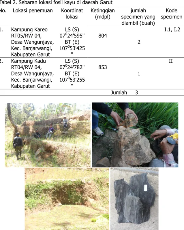 Tabel 2. Sebaran lokasi fosil kayu di daerah Garut  No.  Lokasi penemuan  Koordinat 