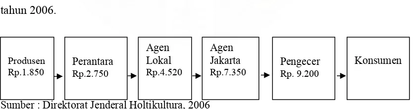 Gambar I.1. Rantai tataniaga jeruk siam madu Karo tujuan Jakarta dan harga yang  berlaku pada masing-masing lembaga niaga, keadaan tahun 2006  