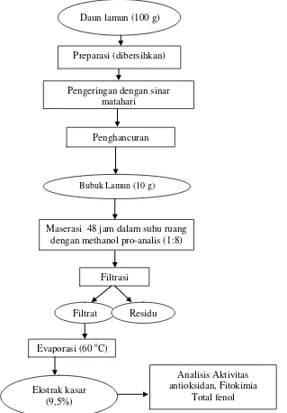 Gambar 3 Prosedur ekstraksi daun lamun (modifikasi El-Hady et al. 2007) 