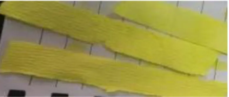 Gambar 2. Kertas saring yang telah dicelupkan kedalam asam pikrat jenuh  Kertas saring pikrat digantungkan pada leher labu erlenmayer sambil dipanaskan  di  atas  hot  plate