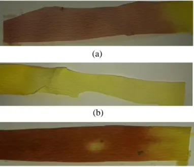 Gambar 4. Perubahan warna kertas pikrat pada rebung (a), umbi talas (b), dan daun  singkong (c) 