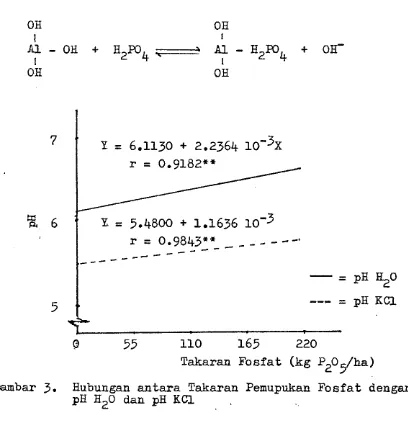 Gambar 3. Hubungan antara Takaran Pemupukan Fosfat dengan pH H20 dan pH KCl 