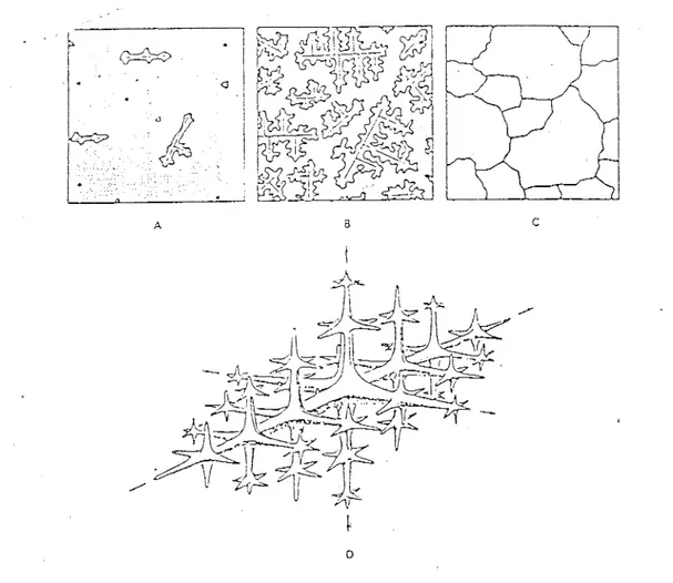 Gambar  2.5 : Struktur Dendritic 