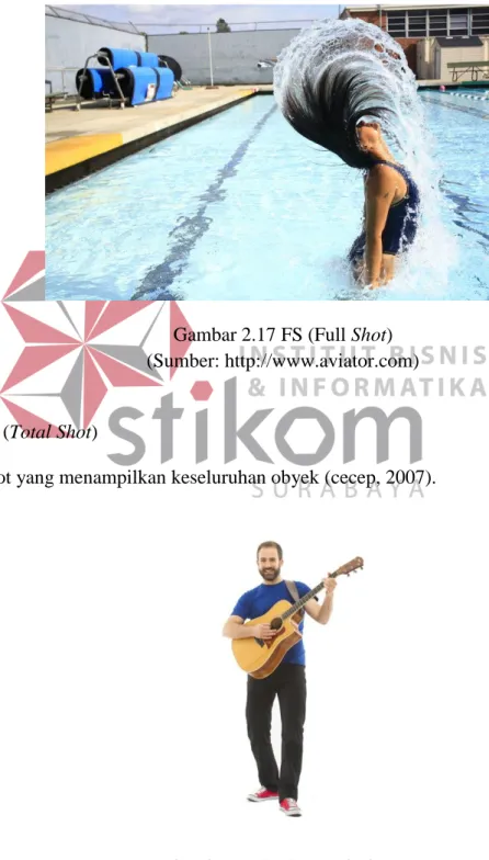 Gambar 2.17 FS (Full Shot)  (Sumber: http://www.aviator.com) 