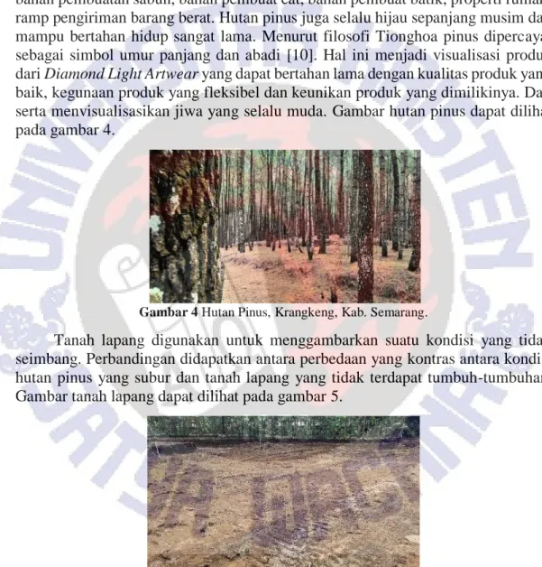 Gambar 4 Hutan Pinus, Krangkeng, Kab. Semarang. 