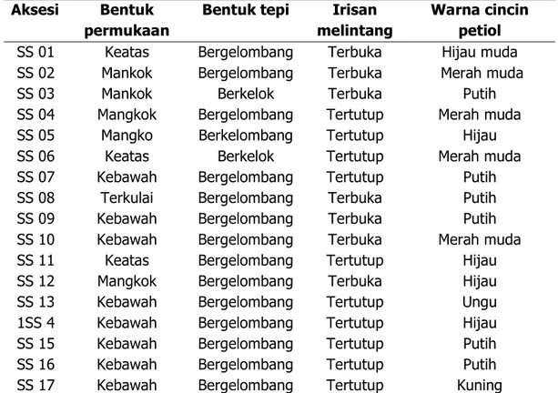 Tabel 5. Bentuk permukaan, bentuk tepi, irisan melintang dan warna cincin petiol 17  aksesi tanaman talas di Kecamatan Sipora Selatan, Kabupaten Kepulauan  Mentawai, Sumatera Barat