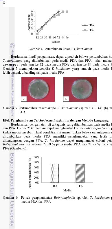Gambar 5 menunjukkan konidia T. harzianum yang tumbuh pada media PDA 