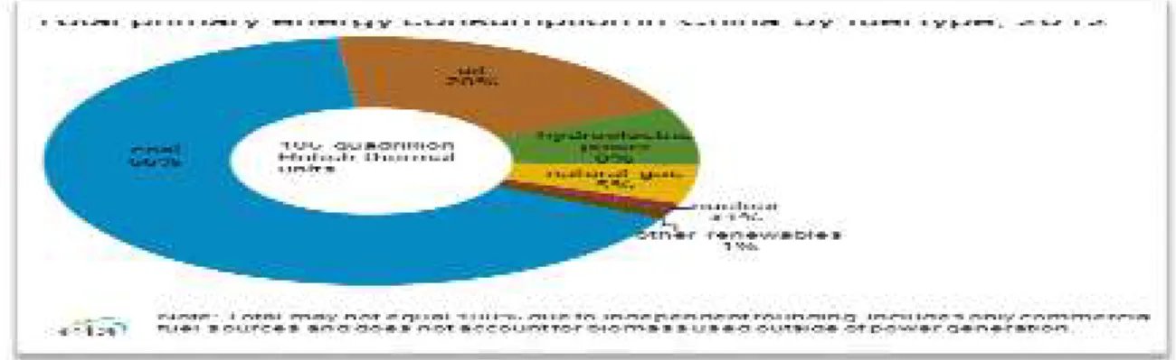 Diagram 1. Persentase Bahan Bakar Konsumsi Tiongkok 2012 