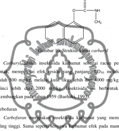 Gambar 10. Struktur kimia carbaryl 