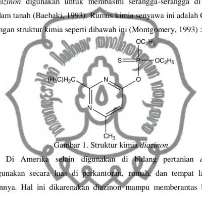 Gambar 1. Struktur kimia diazinon 