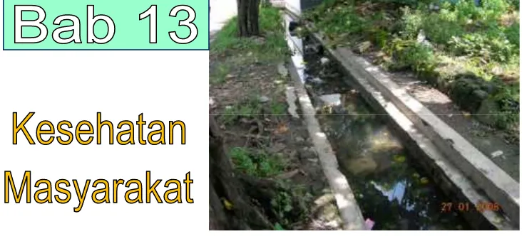 Gambar 13.1. Kondisi selokan tempat pembuangan limbah rumah tangga yang telah dibuat permanen, tetapi kurang terawat, kotor dan tidak mengalir 