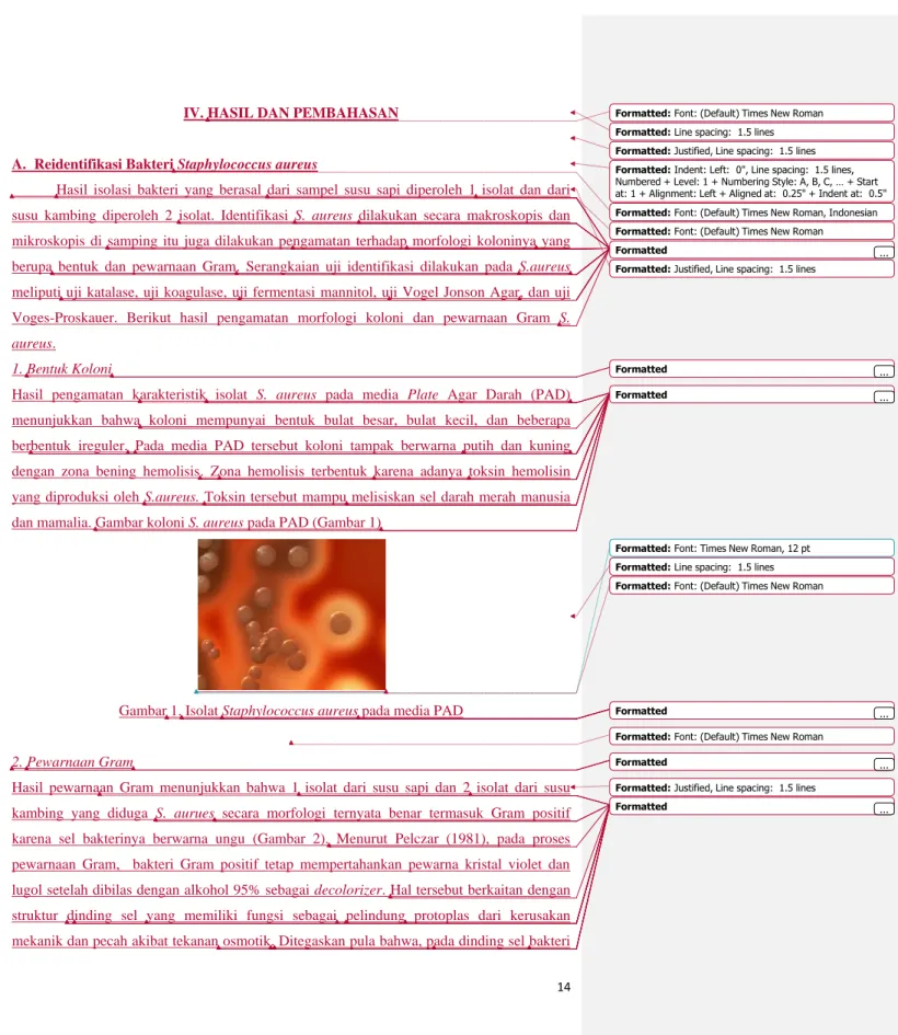 Gambar 1. Isolat Staphylococcus aureus pada media PAD 