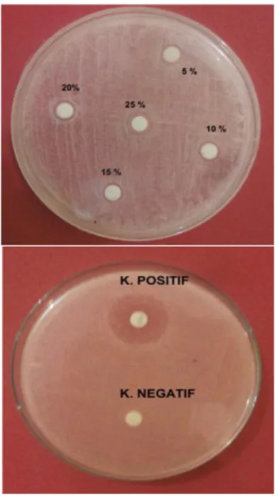 Tabel 1.  Hasil  Rata-Rata  Pengukuran  Zona  Hambat  Fraksi  Kloroform  Ekstrak  Buah Mentimun Terhadap Bakteri S