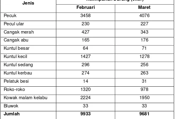 Tabel 2. Kelimpahan burung air di Pulau Rambut berdasarkan penjumlahan burung yang tinggal dan penghitungan sore hari, Februari-Maret 2001