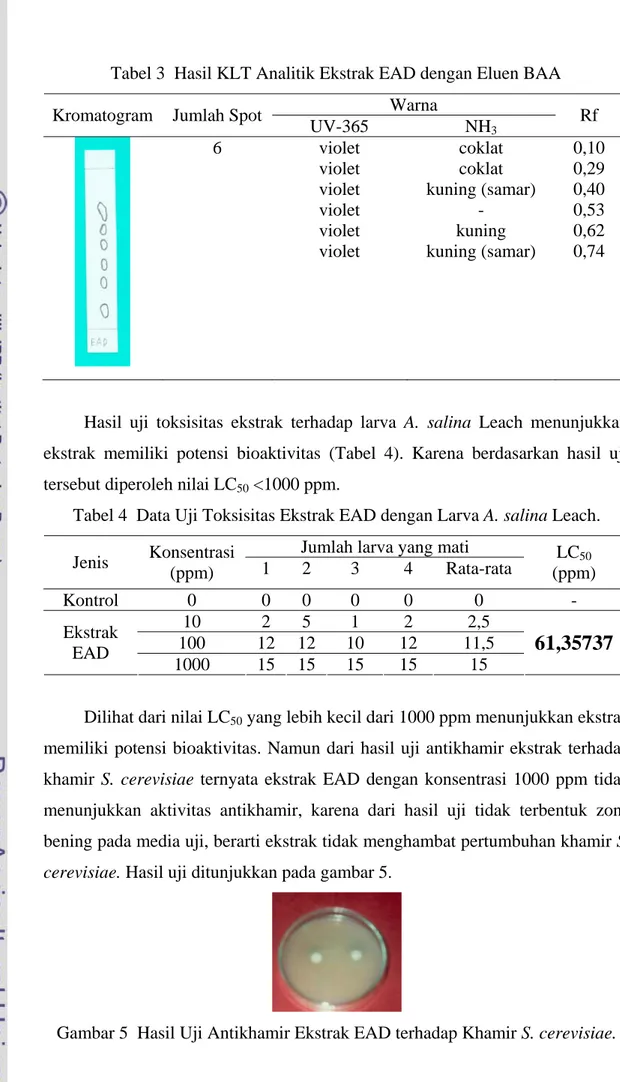 Tabel 3  Hasil KLT Analitik Ekstrak EAD dengan Eluen BAA  Warna 