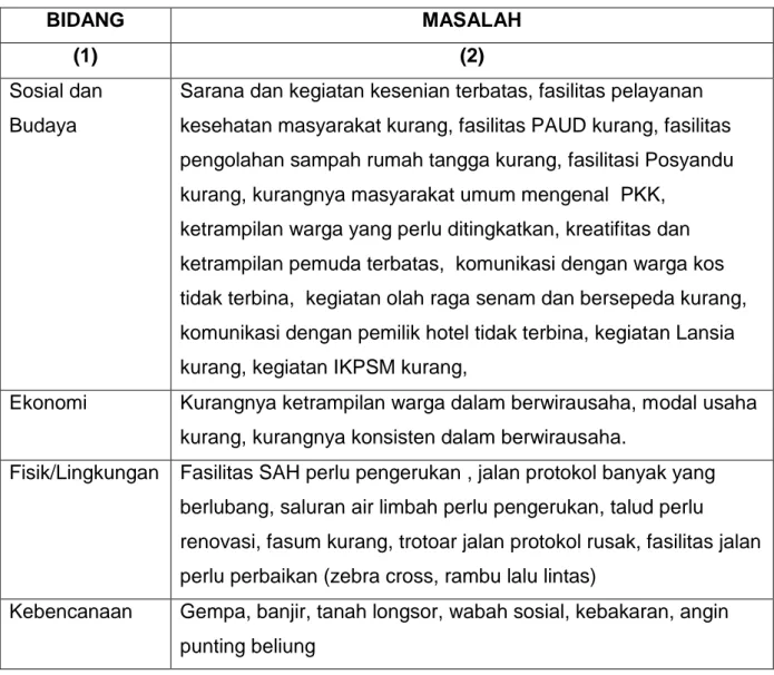 Tabel 13 Jenis Permasalahan Pembangunan Tahun 2017 