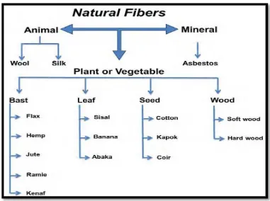 Figure 2.1 : Classification of natural fibres according to their origin with examples 