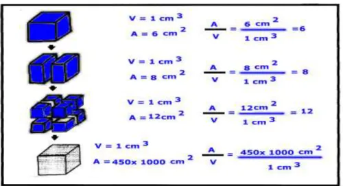 Gambar 2.1. Makin kecil material digerus makin besar permukaan sesifiknya