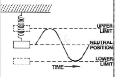 Figure 2.8 Vibratioon spring (S