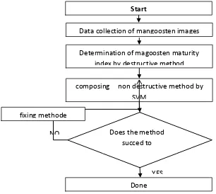 Figure 1: Development of non-destructive method for mangosteen maturity index 