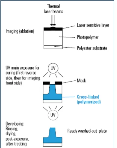 Gambar 6.5. Proses pengembangan pelat photopolymer  