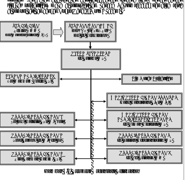 Gambar 5.1. Struktur Organisasi Pelaksana PEMBIMBING 