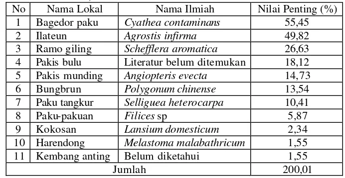 Tabel 10. Nilai Penting Tingkat Herba dan Semak (2500 m dpl Terkena   Letusan) 