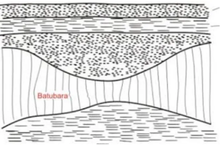 Gambar 2.1.5.2. Lapisan Batubara Bentuk Pinch