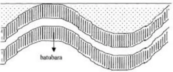 Gambar 2.1.5.6. Lapisan Batubara Bentuk Folding