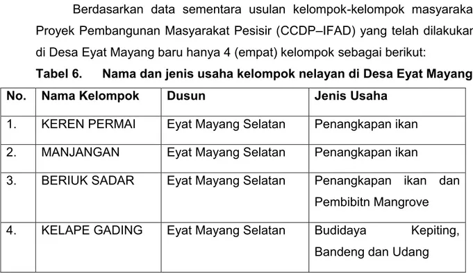 Tabel 6.   Nama dan jenis usaha kelompok nelayan di Desa Eyat Mayang  No.  Nama Kelompok  Dusun  Jenis Usaha 