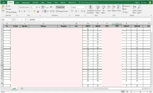 Gambar III.3 Format Excel Pembuatan Impassing Gaji  Sumber : Data Diolah Oleh Penulis 