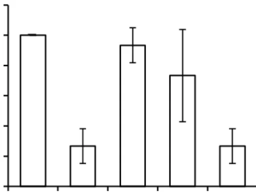 Gambar  1.  Kelangsungan  hidup  ikan  lele  (Clarias  sp.)  pada akhir perlakuan.  Keterangan:  K-:  kontrol  negatif, K+:  kontrol positif, A:  21 hari, B: 14 hari,  C: tujuh hari