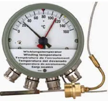 Gambar 2.9 Thermometer 