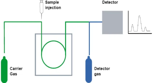 Gambar 2.2 Metode Ekstraksi dengan Gas Cromatograph.