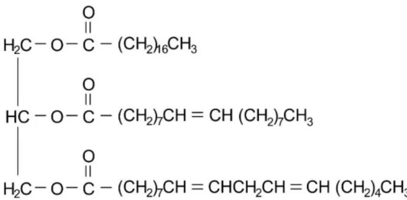 Gambar 2.4. Struktur molekul minyak biji jarak mentah[2] 