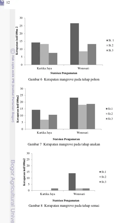 Gambar 8  Kerapatan mangrove pada tahap semai 