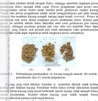 Gambar 4 Perbandingan penampakan (A) kacang tunggak mentah, (B) setelah 