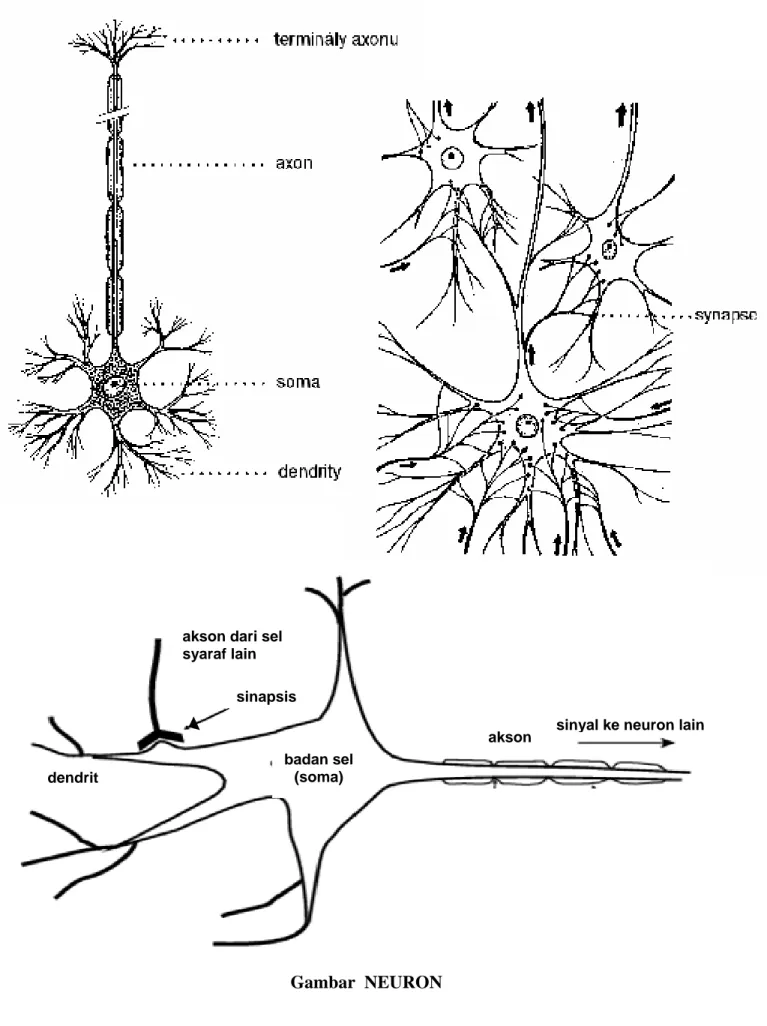 Gambar  NEURON 